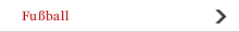 Fu&szlig;ball