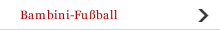 Bambini-Fu&szlig;ball